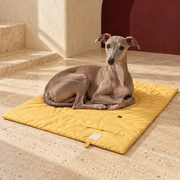Foldable Quilted Dog Travel Mat — Yellow Italian Greyhound lifestyle