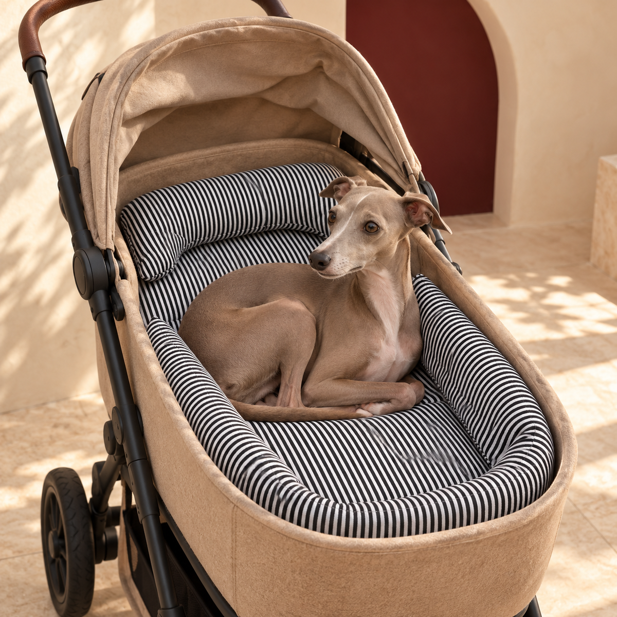 Three Piece Dog Stroller Cushion Set — Black Italian Greyhound lifestyle