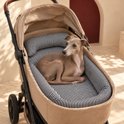 Three Piece Dog Stroller Cushion Set — Black Italian Greyhound lifestyle