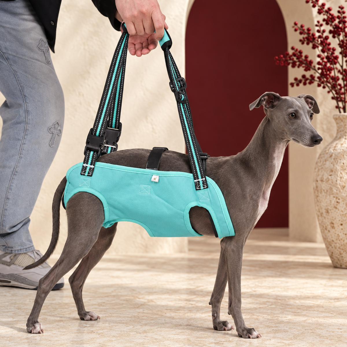 Adjustable Iggy Lift Harness with Padded Handle – Italian Greyhound in the Iggy Grey interior