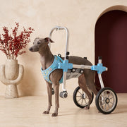 Adjustable Iggy Wheelchair Harness for Mobility Support – Italian Greyhound in the Iggy Grey interior