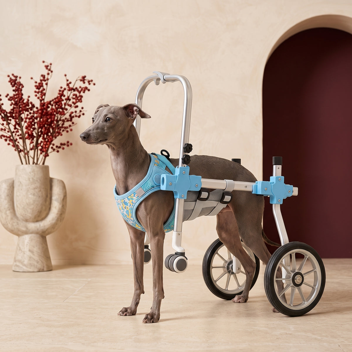Adjustable Iggy Wheelchair Harness for Mobility Support – Italian Greyhound in the Iggy Grey interior
