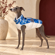 Camo Cotton Iggy Coat – Italian Greyhound in the Iggy Grey interior