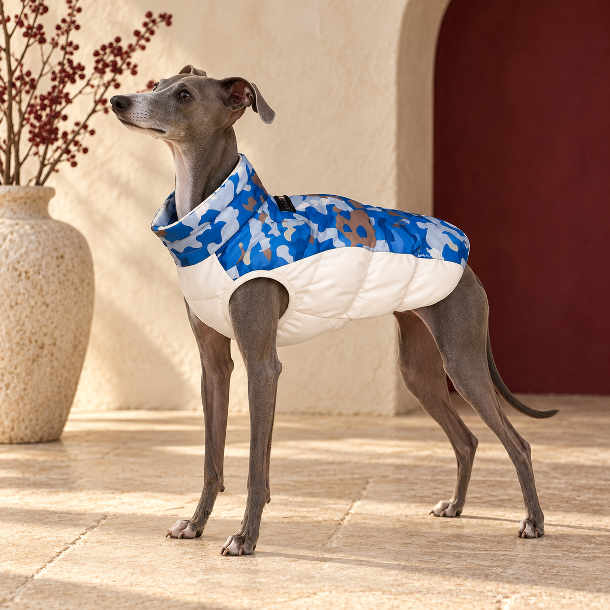 Camo Cotton Iggy Coat – Italian Greyhound in the Iggy Grey interior
