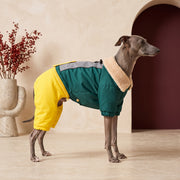 Detachable Iggy Cotton Coat – Italian Greyhound in the Iggy Grey interior