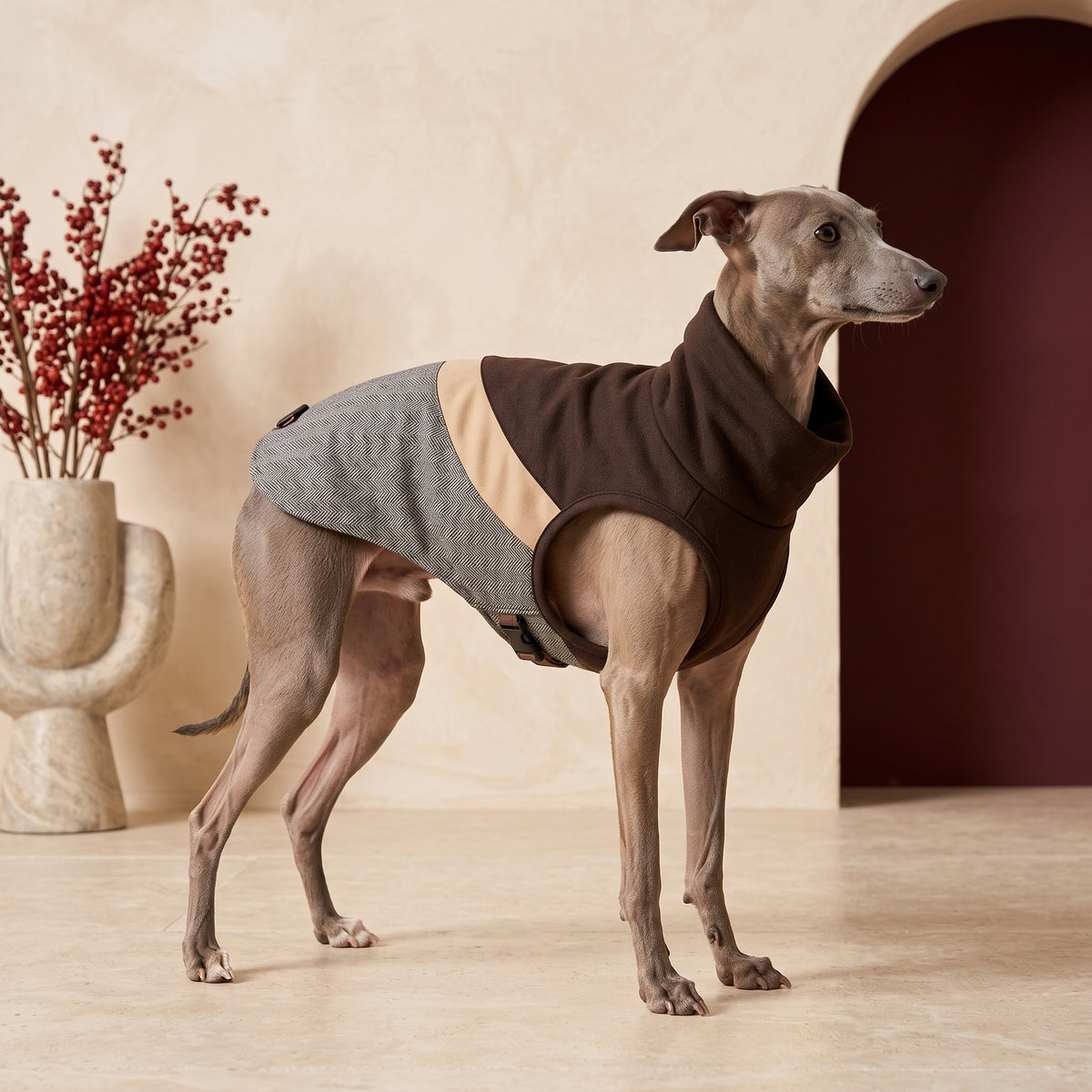 Sleeveless Winter Iggy Coat – Italian Greyhound in the Iggy Grey interior