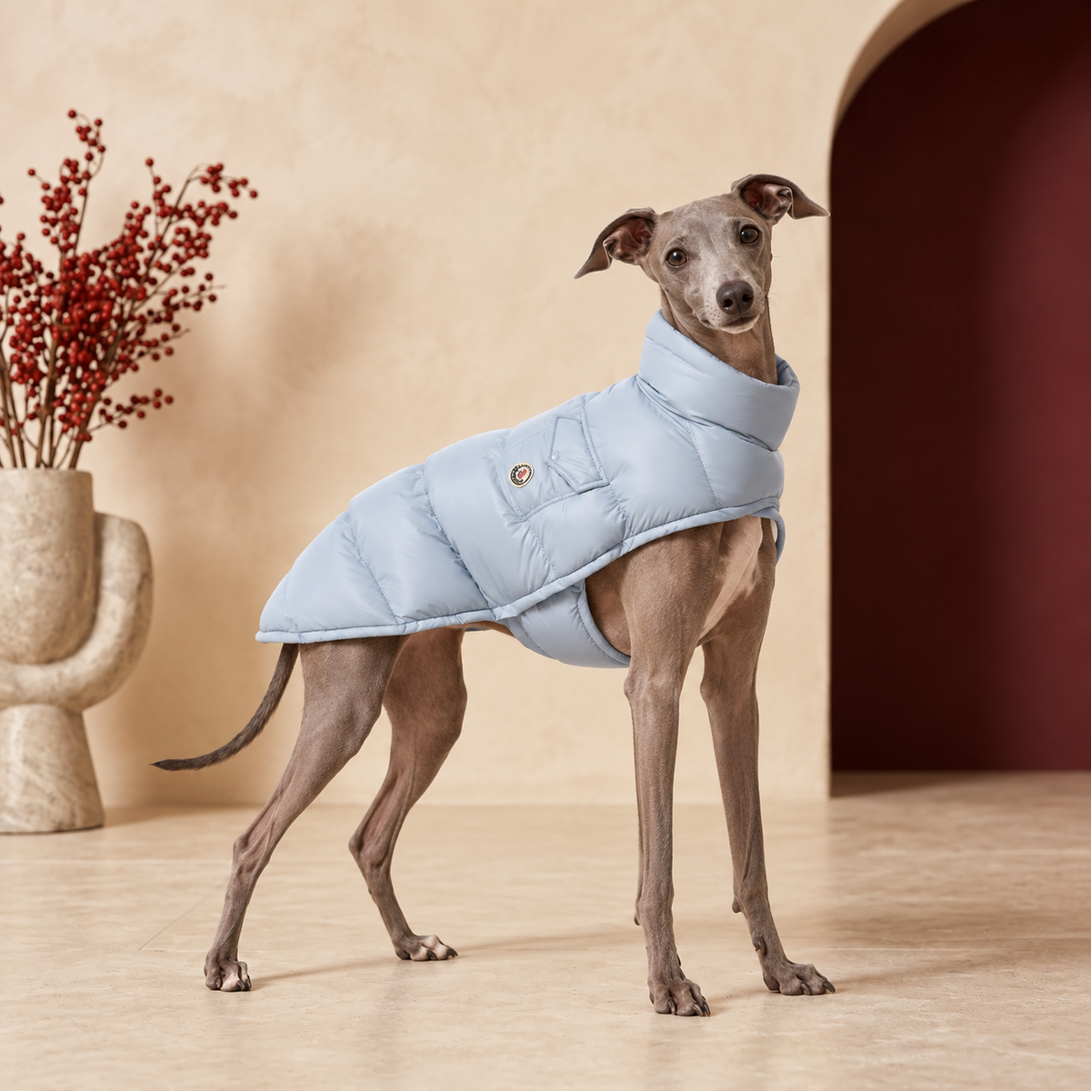 High Collar Winter Iggy Coat – Italian Greyhound in the Iggy Grey interior