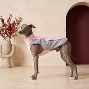 Breathable Iggy Cooling Vest with UV Sun Protection – Italian Greyhound in the Iggy Grey interior