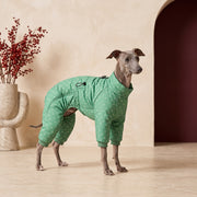 Waterproof Iggy Winter Jumpsuit – Italian Greyhound in the Iggy Grey interior