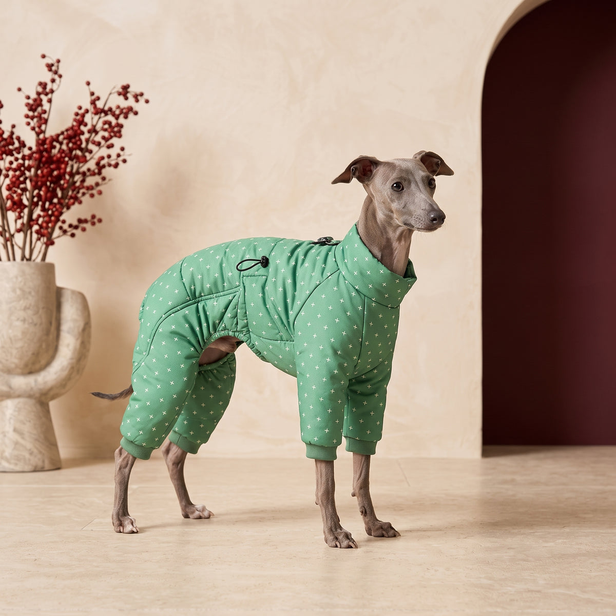 Waterproof Iggy Winter Jumpsuit – Italian Greyhound in the Iggy Grey interior