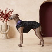 Double-Sided Windproof Iggy Coat – Italian Greyhound in the Iggy Grey interior