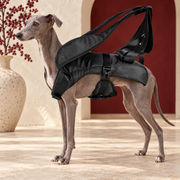 Front-Facing Iggy Carrier Backpack – Italian Greyhound in the Iggy Grey interior