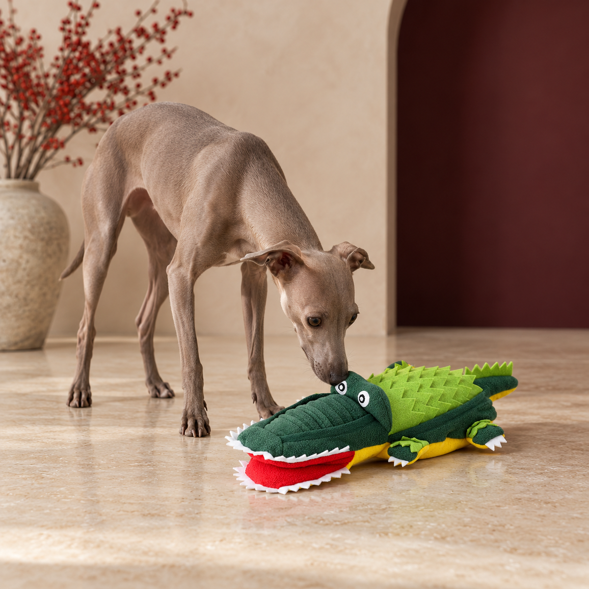 Crocodile Snuffle Dog Toy in Green, with an Italian Greyhound