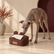 Animal Tissue Box Snuffle Toy in Brown Bear, with an Italian Greyhound
