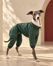 Four-Leg Iggy Winter Anorak in Green, worn by an Italian Greyhound