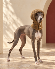 Button-Front Knit Iggy Hood in Brown, worn by an Italian Greyhound