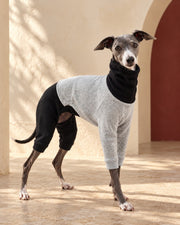 Black & Grey Four-Leg Iggy Suit, worn by an Italian Greyhound