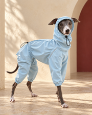 Trail Four-Leg Iggy Rain Anorak in Light Blue, worn by an Italian Greyhound