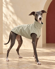 Minimal High-Neck Iggy Shell Vest in Pale Sage, worn by an Italian Greyhound