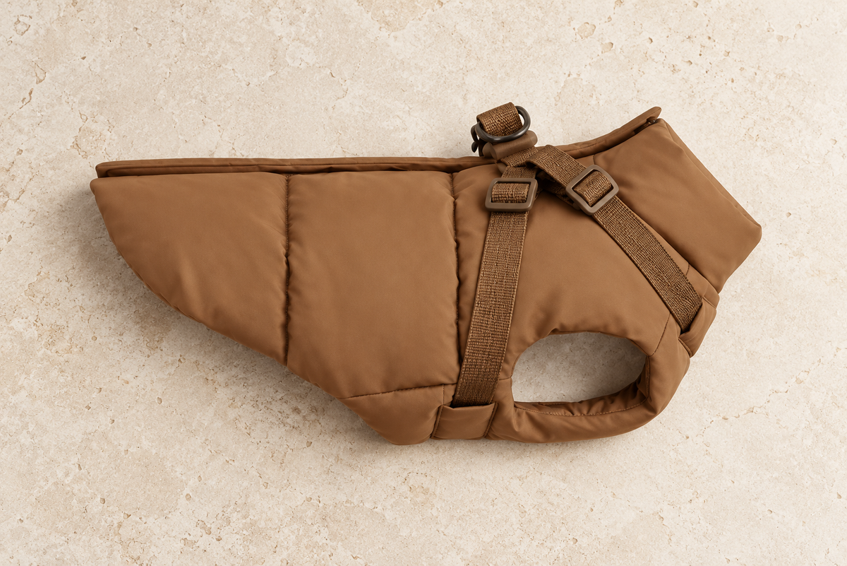 Caramel Brown padded Italian Greyhound coat with built-in harness, product view