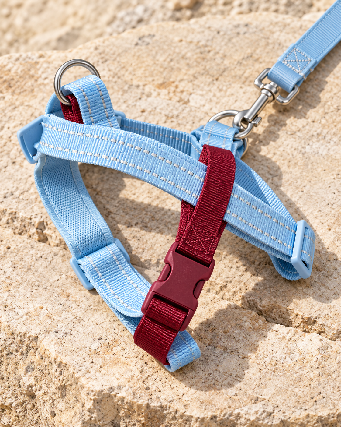 Close detail of adjustable blue and burgundy harness