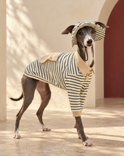 Italian Greyhound wearing a cream and black striped cotton polo with beige trim and matching bucket hat