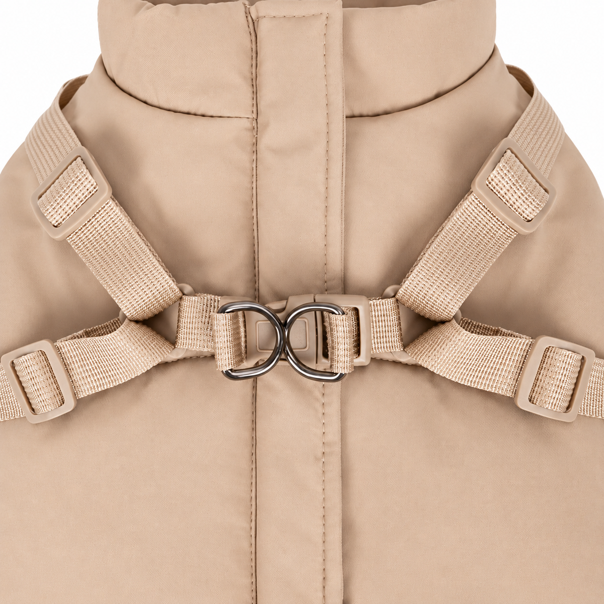 Close-up of beige harness straps, buckles and leash attachment rings