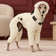 Italian Greyhound wearing cream padded four-leg winter suit