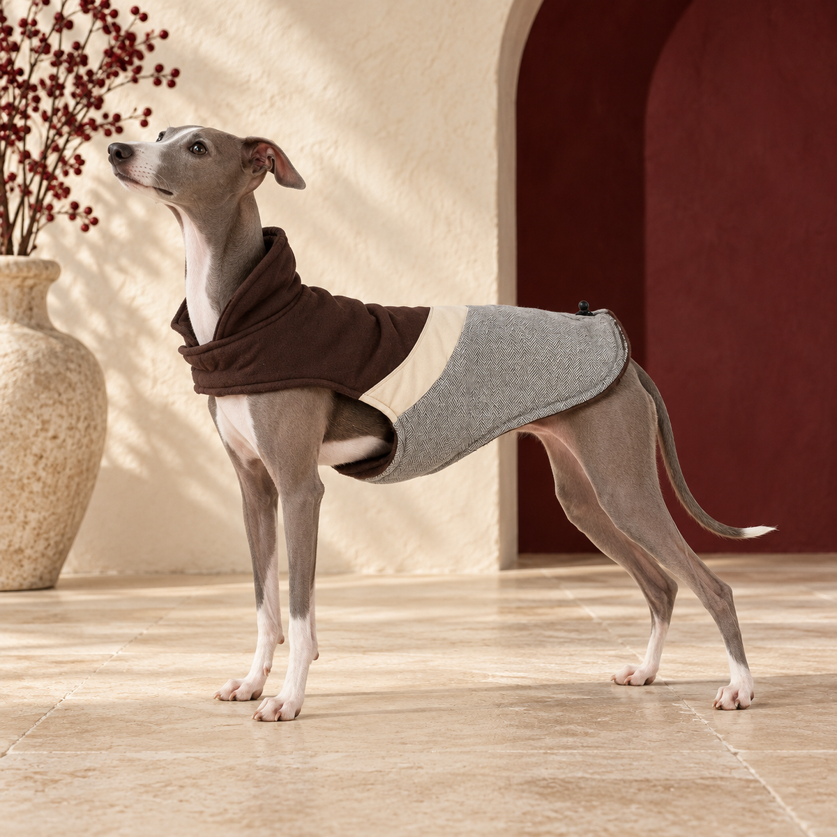 Herringbone Iggy Cotton Coat – Italian Greyhound in the Iggy Grey interior