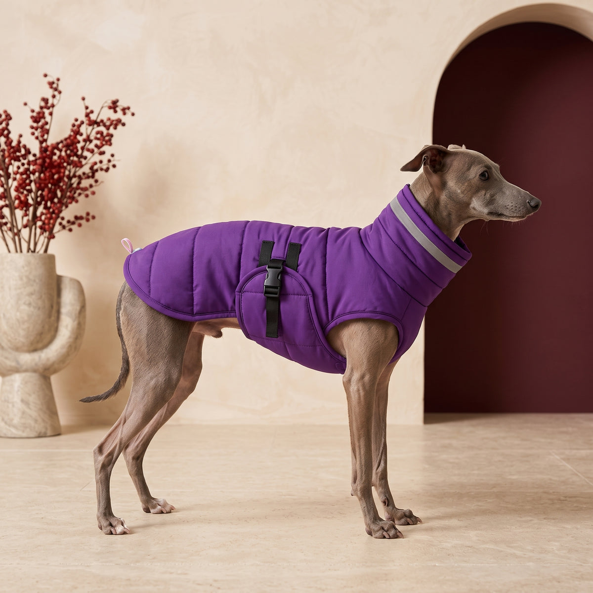High Collar Iggy Coat – Warm Cotton Winter Protection – Italian Greyhound in the Iggy Grey interior