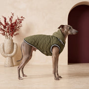 Comfortable Hooded Iggy Cotton Jacket – Italian Greyhound in the Iggy Grey interior