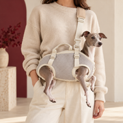 Italian Greyhound in oatmeal carrier
