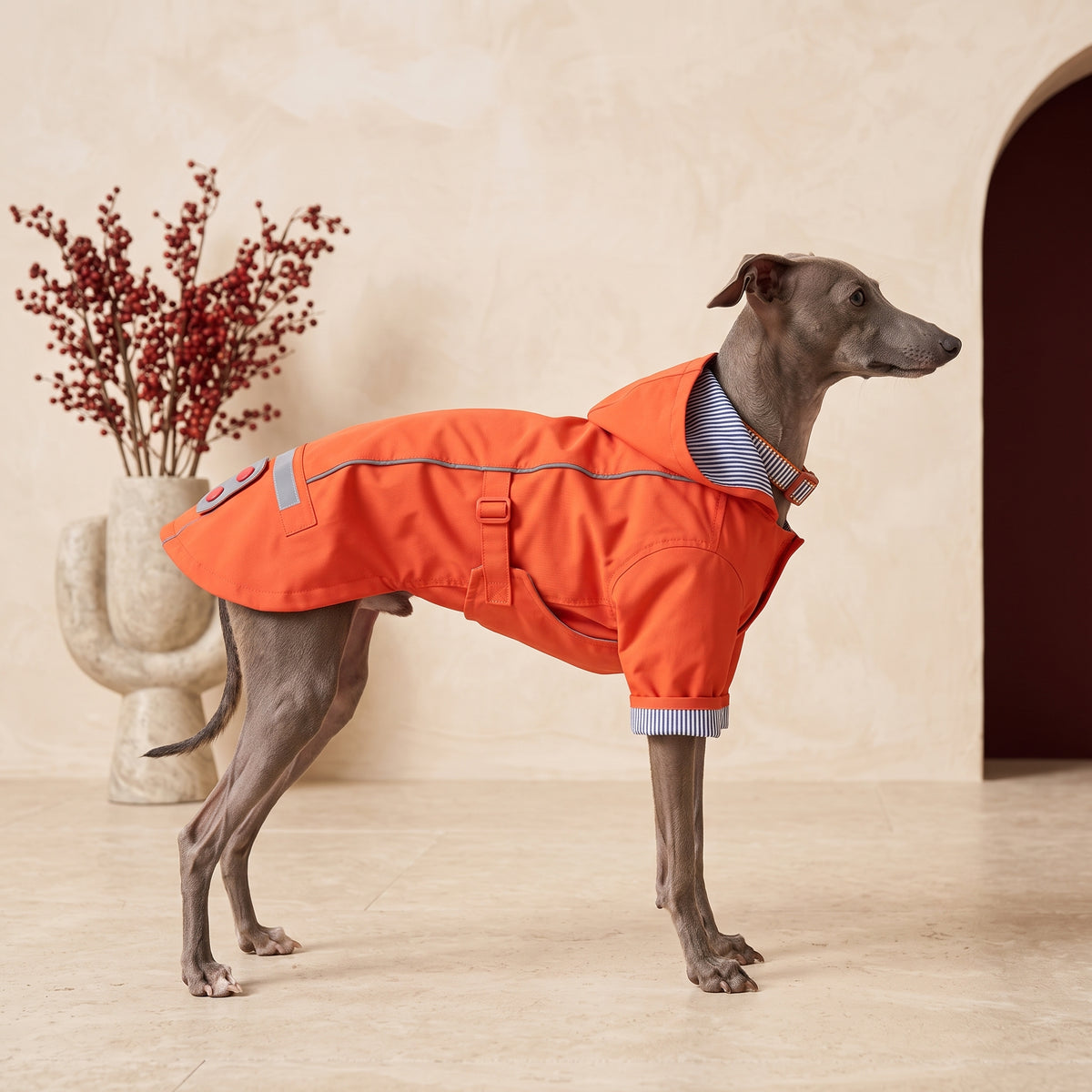 Outdoor Hooded Iggy Raincoat – Italian Greyhound in the Iggy Grey interior