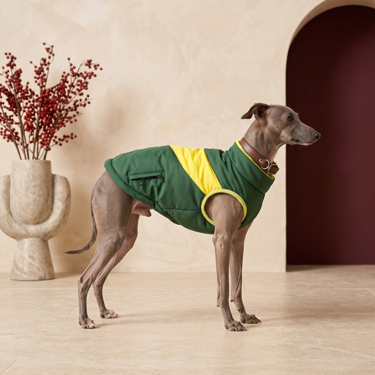 Comfortable Padded Iggy Coat for Cold Weather – Italian Greyhound in the Iggy Grey interior