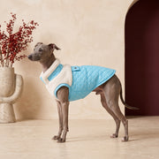 Quilted Winter Iggy Coat – Italian Greyhound in the Iggy Grey interior