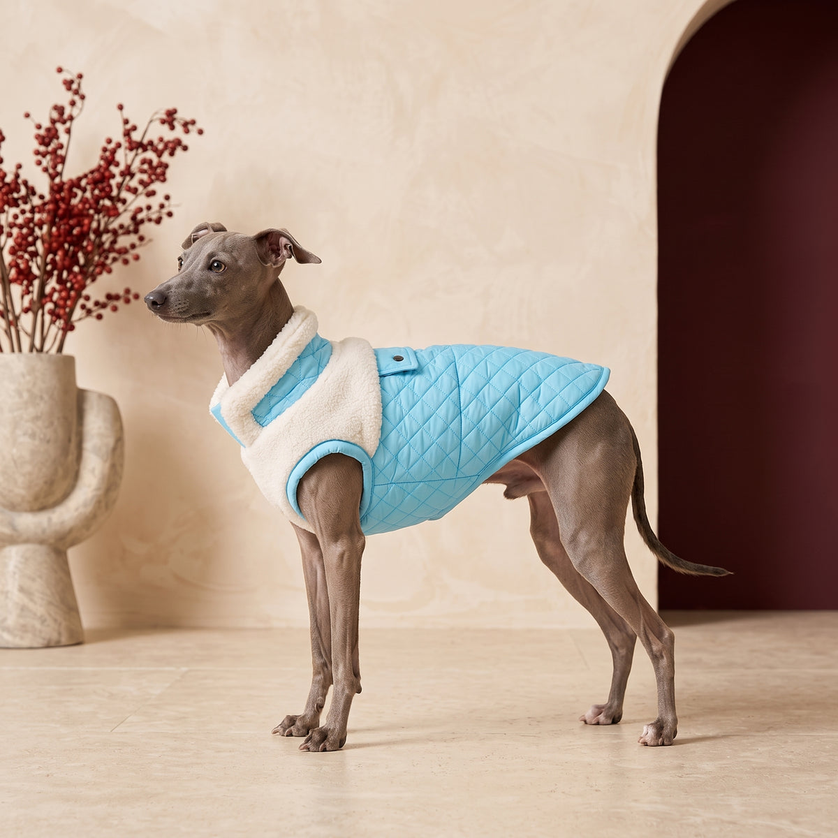 Quilted Winter Iggy Coat – Italian Greyhound in the Iggy Grey interior