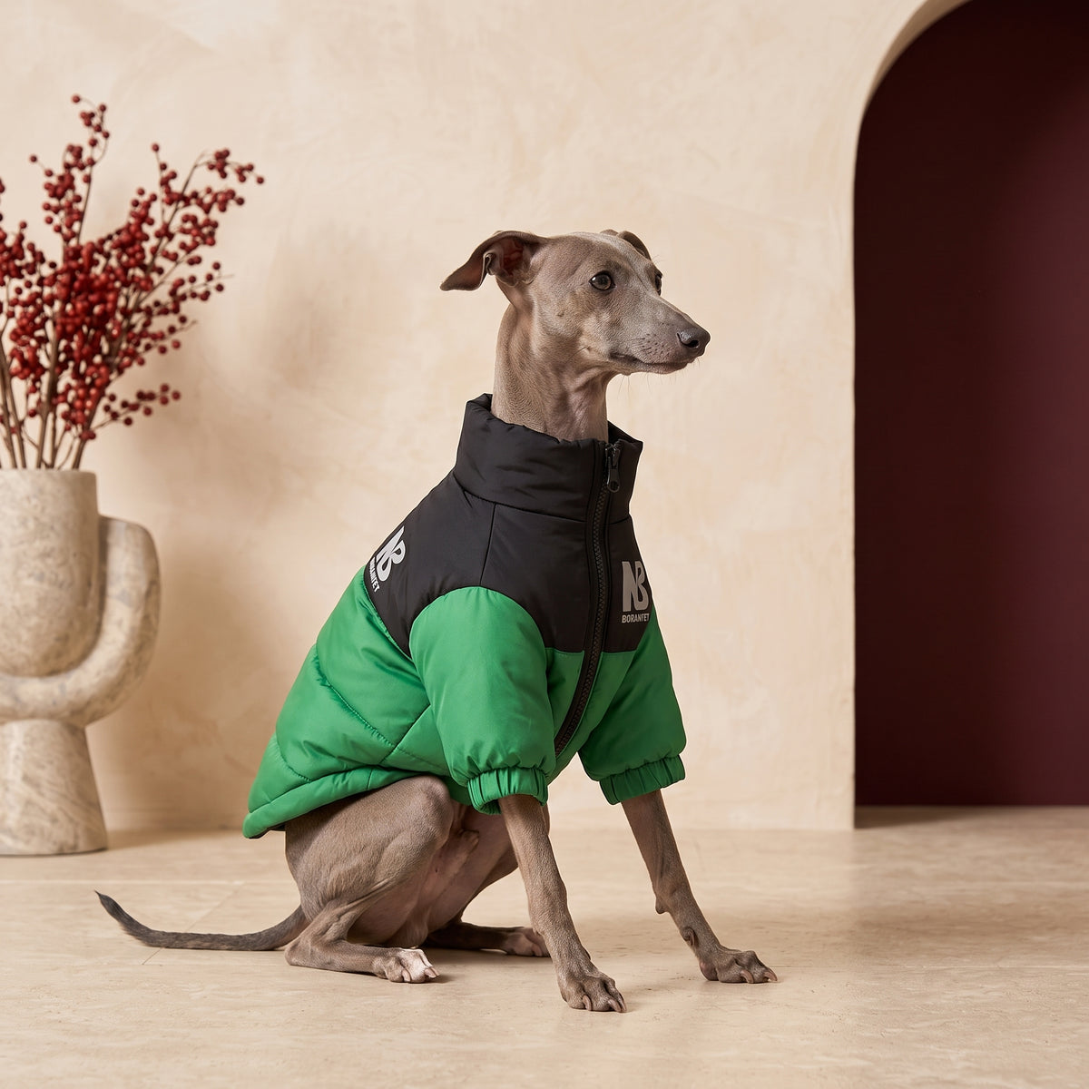 Iggy Winter Jacket with Reflective Design for Safety – Italian Greyhound in the Iggy Grey interior