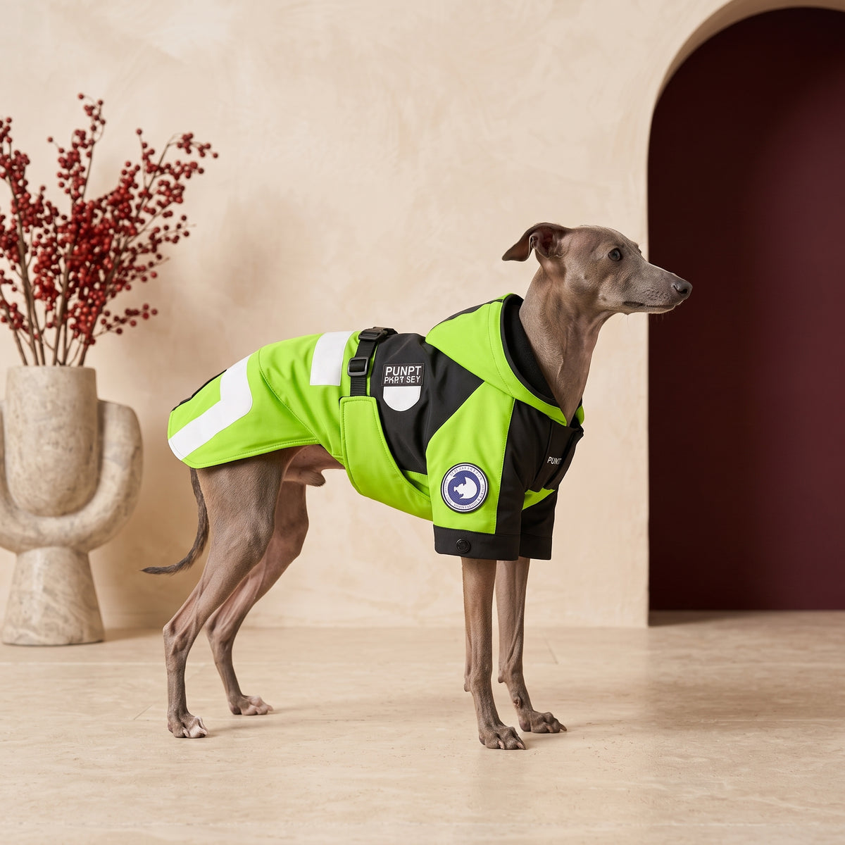 Reflective Iggy Sports Jacket – Italian Greyhound in the Iggy Grey interior