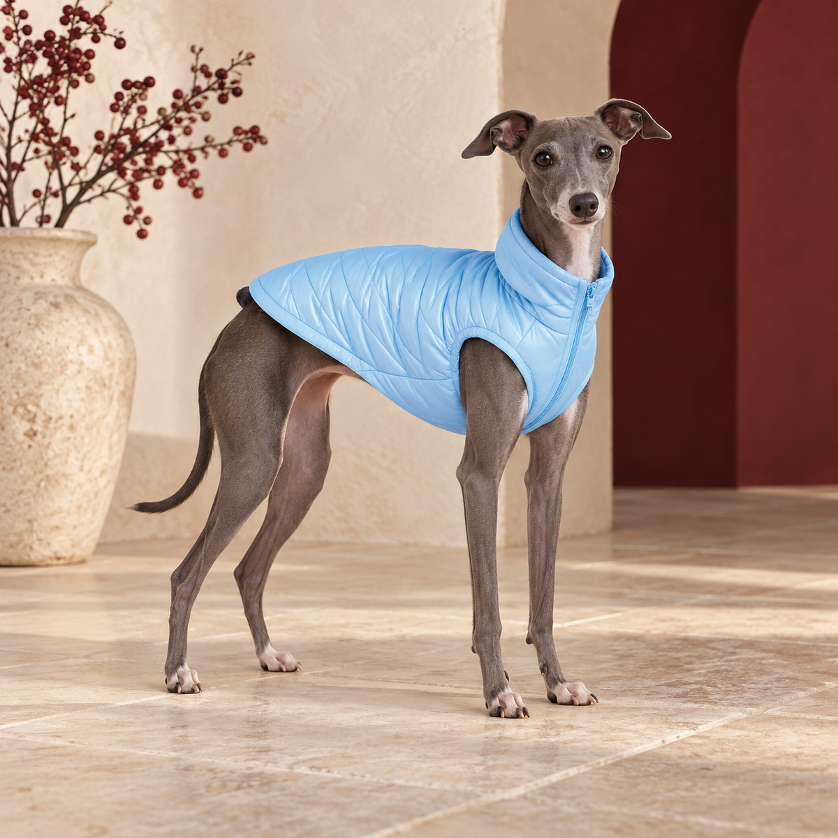 Reflective Iggy Winter Vest – Italian Greyhound in the Iggy Grey interior