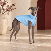 Reflective Iggy Winter Vest – Italian Greyhound in the Iggy Grey interior
