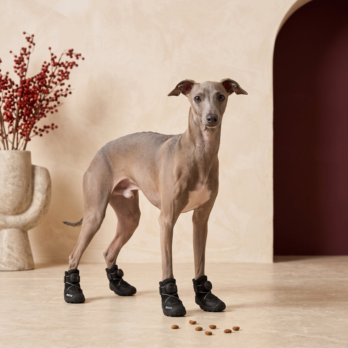 Iggy Shoes – Non-Slip Summer Footwear for Active Paws – Italian Greyhound product view 7