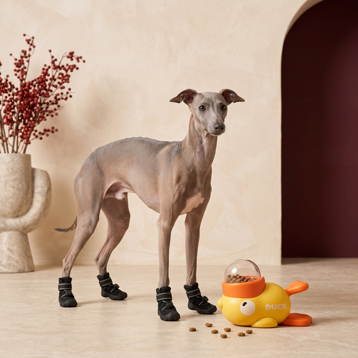 Iggy Shoes – Non-Slip Summer Footwear for Active Paws – Italian Greyhound product view 8
