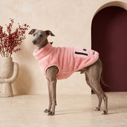 Ultra-Soft Fleece Iggy Jacket – Italian Greyhound in the Iggy Grey interior