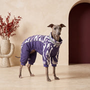Iggy Winter Jumpsuit – Warm & Reflective Protection – Italian Greyhound in the Iggy Grey interior