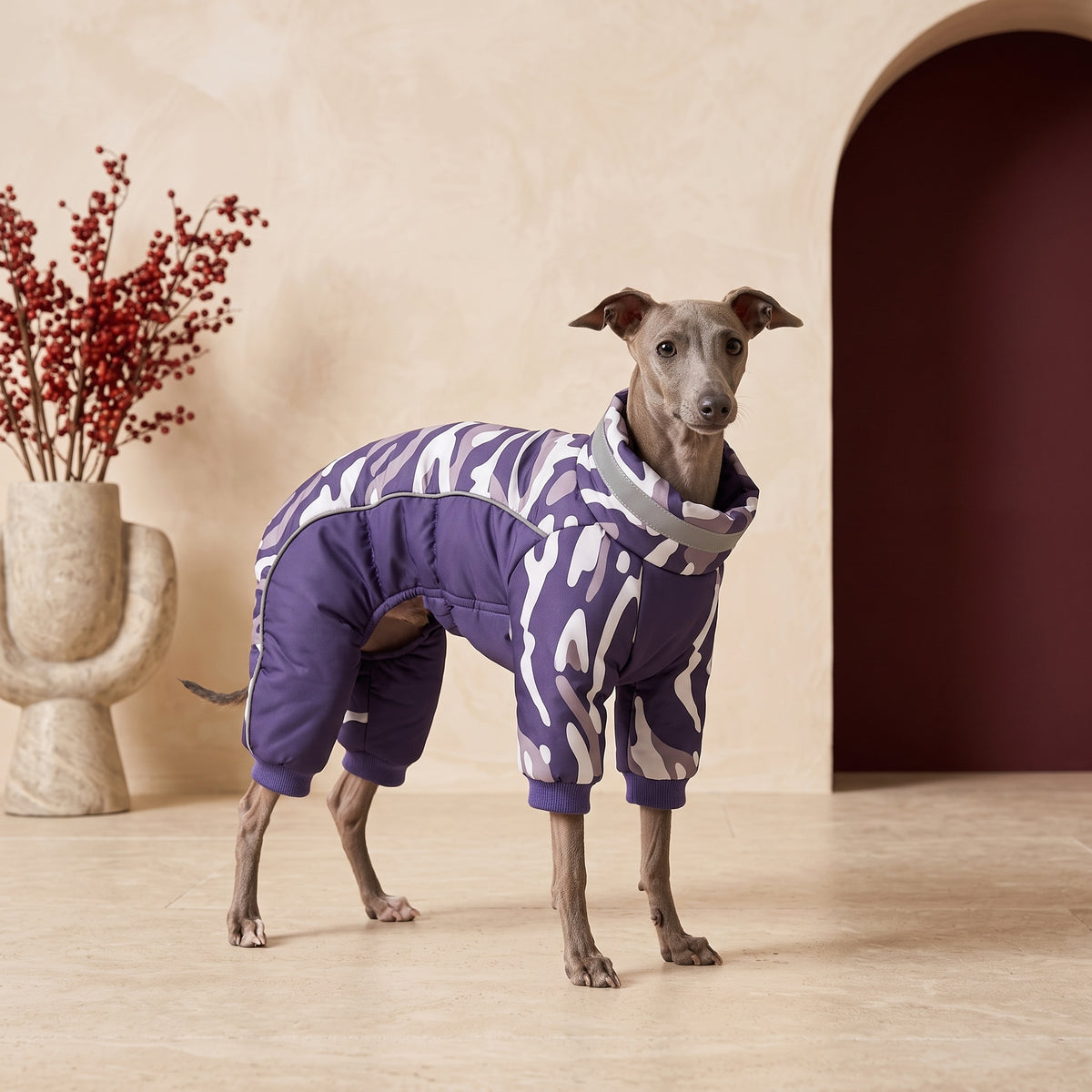 Iggy Winter Jumpsuit – Warm & Reflective Protection – Italian Greyhound in the Iggy Grey interior