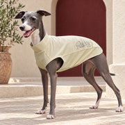 Khaki Sleeveless Iggy Summer Top in Khaki, worn by an Italian Greyhound