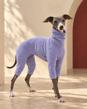 Lavender Covered-Belly Iggy Fleece Suit, worn by an Italian Greyhound