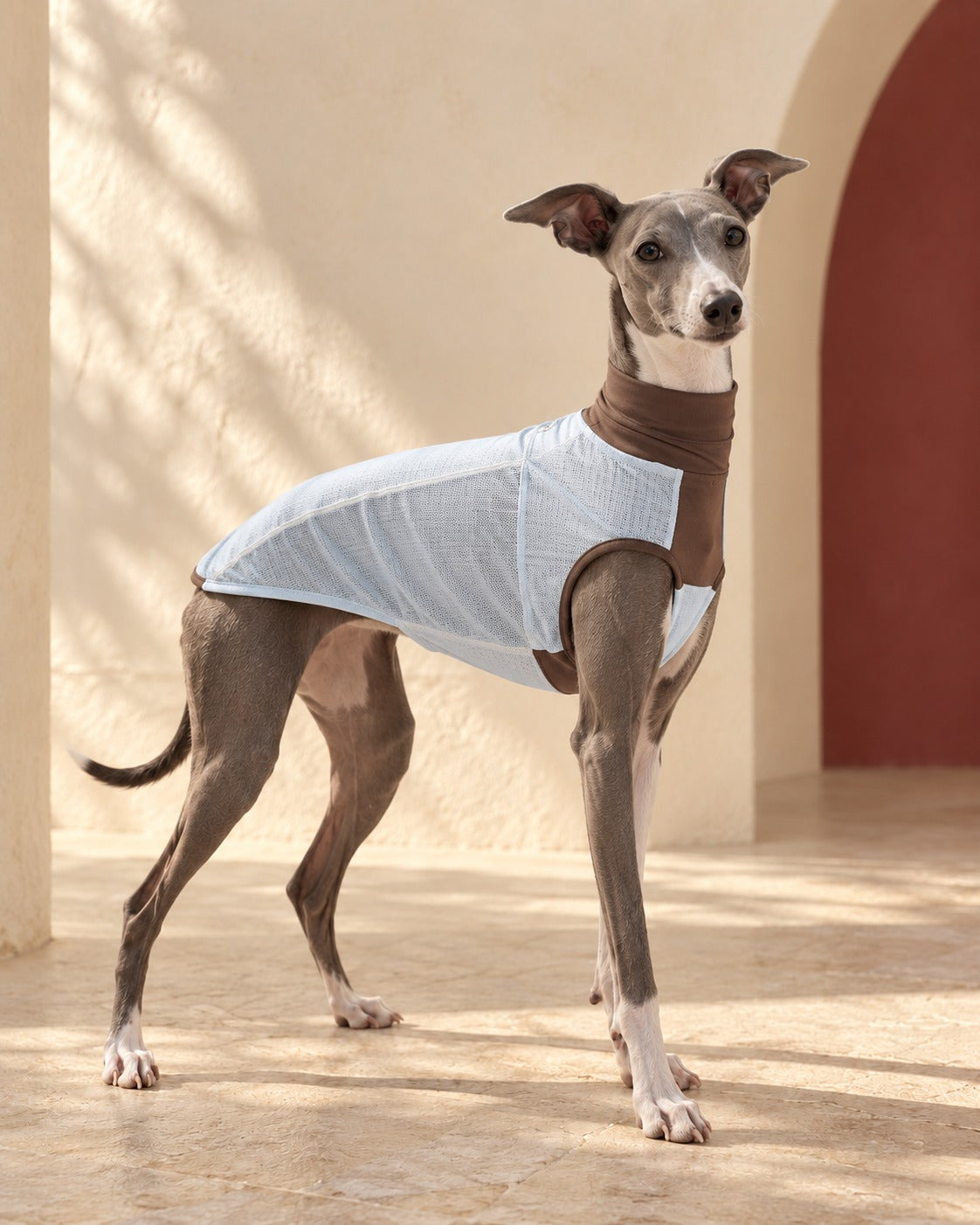 Lightweight Two-Tone Iggy Summer Vest in Light Blue, worn by an Italian Greyhound