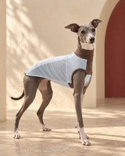 Lightweight Two-Tone Iggy Summer Vest in Light Blue, worn by an Italian Greyhound