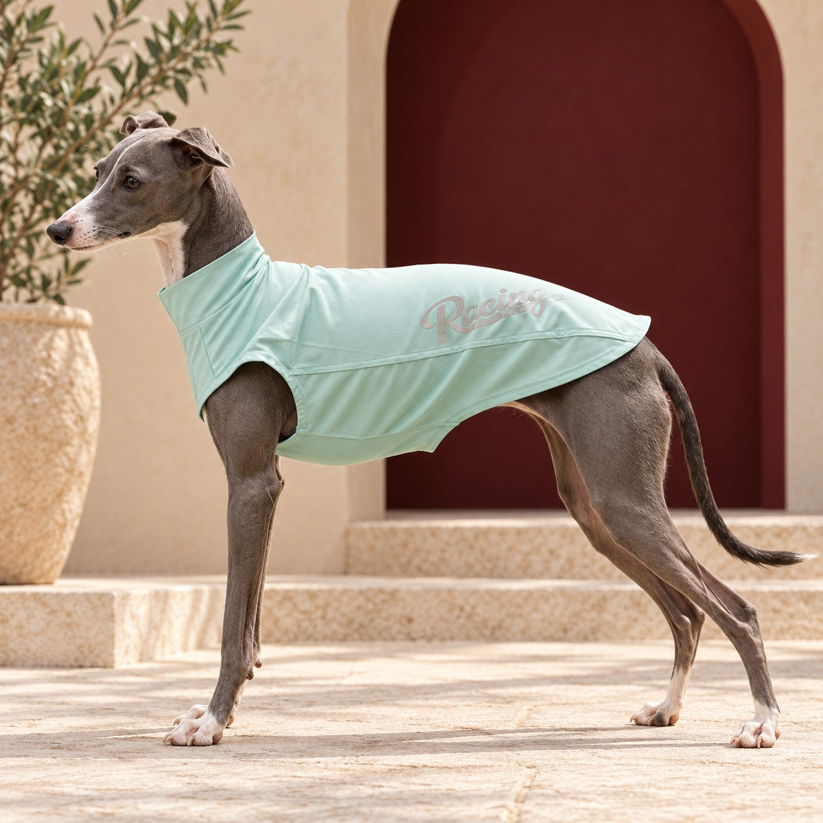 Mint Sleeveless Iggy Summer Top in Mint Green, worn by an Italian Greyhound